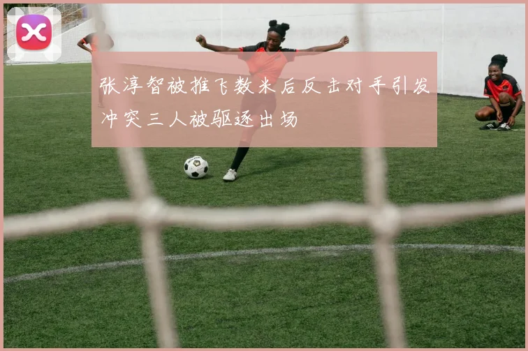 张淳智被推飞数米后反击对手引发冲突三人被驱逐出场